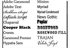 Adobe Fonts
