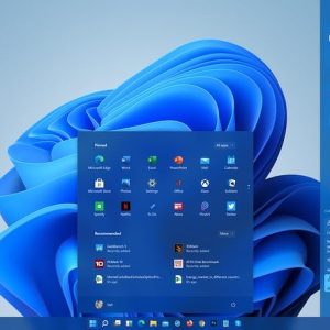 Windows 11